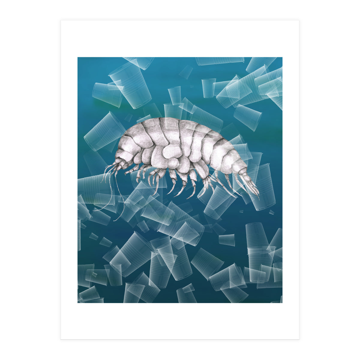 Eurythenes Plasticus (Print Only)