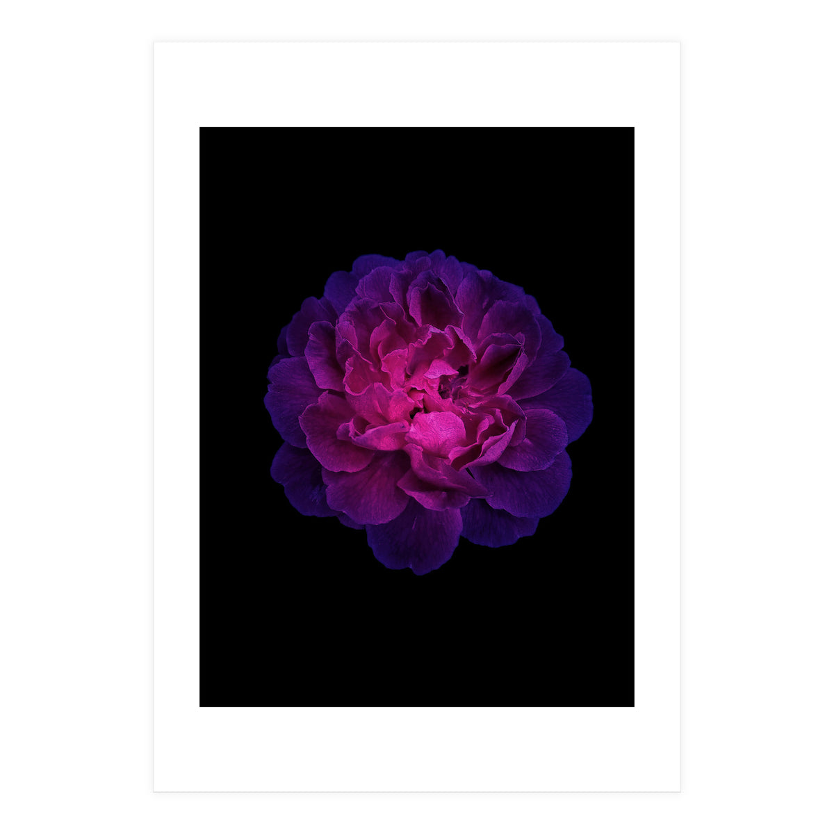 Blooming Nature (Print Only)