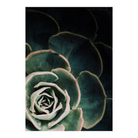 Darkside Of Succulents 4-C (Print Only)