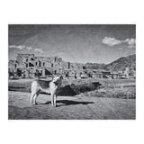 Taos (Print Only) thumbnail