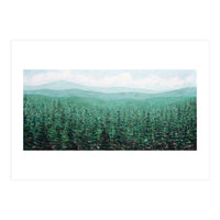 Oregon Pines (Print Only)