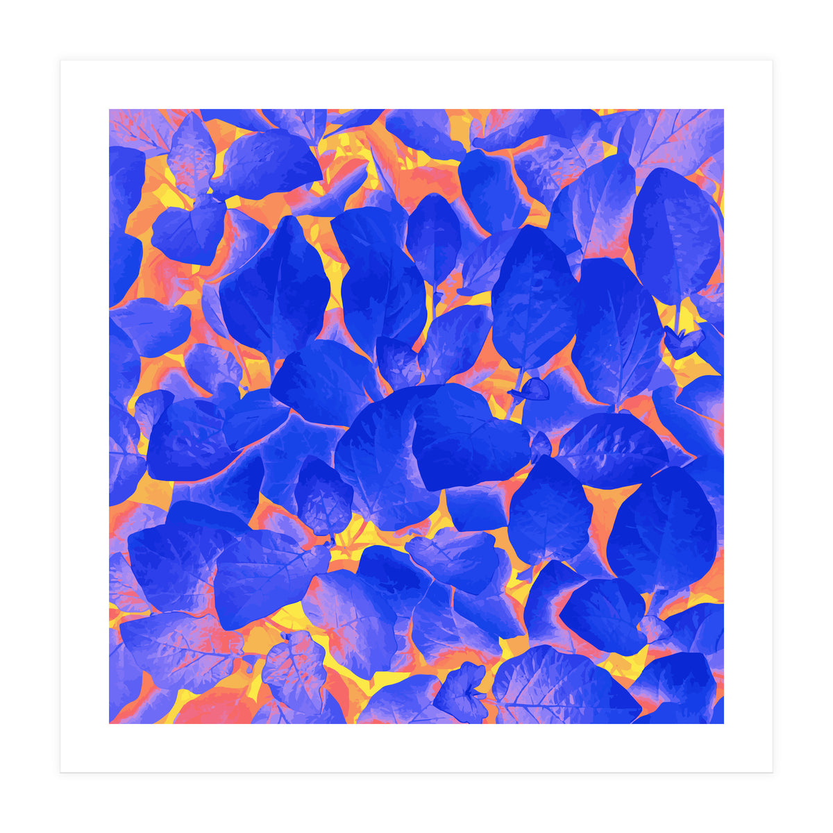 Supercontrast (Print Only)