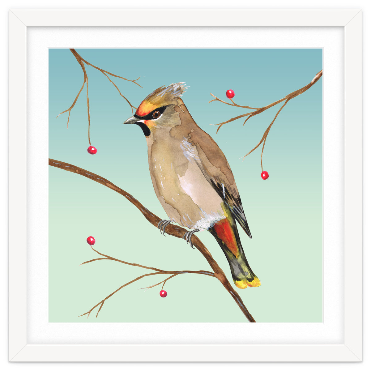 Bohemian waxwing