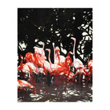 Flamingoes Under The Banyan Tree (Print Only) thumbnail