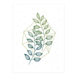 Geometry And Nature III (Print Only) thumbnail