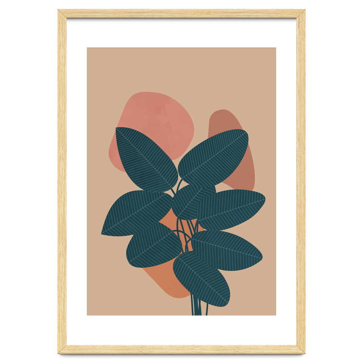 Rubber Plant Boho Botanical