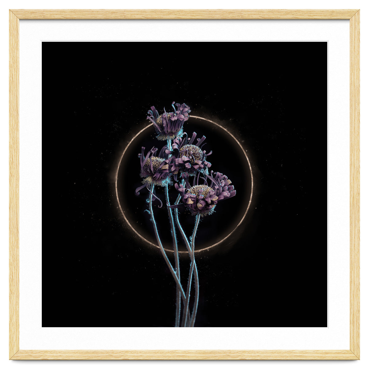 Candy-Coloured Mystery