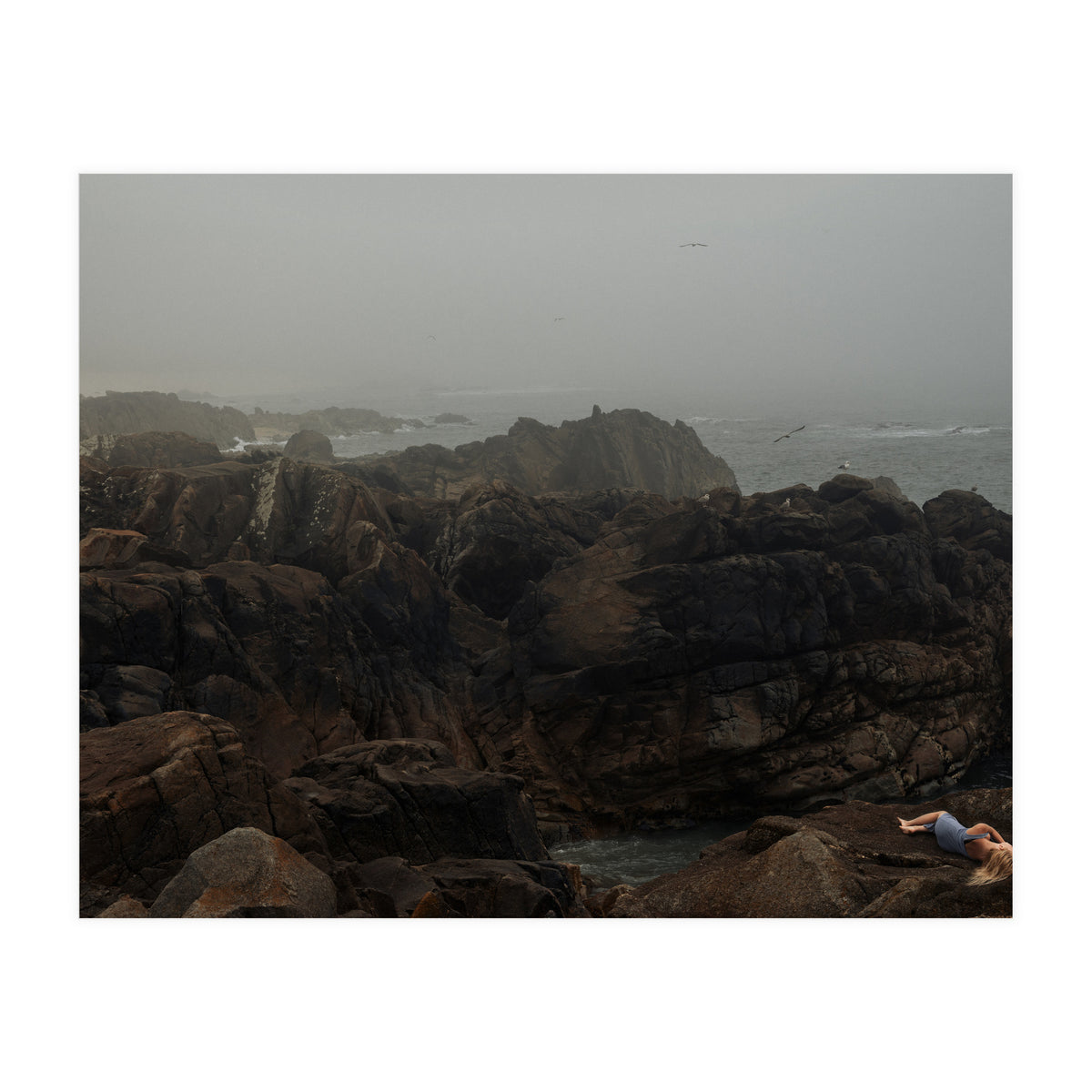 Seagull Bay (Print Only)