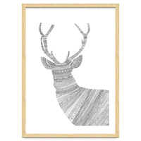 Stag 2