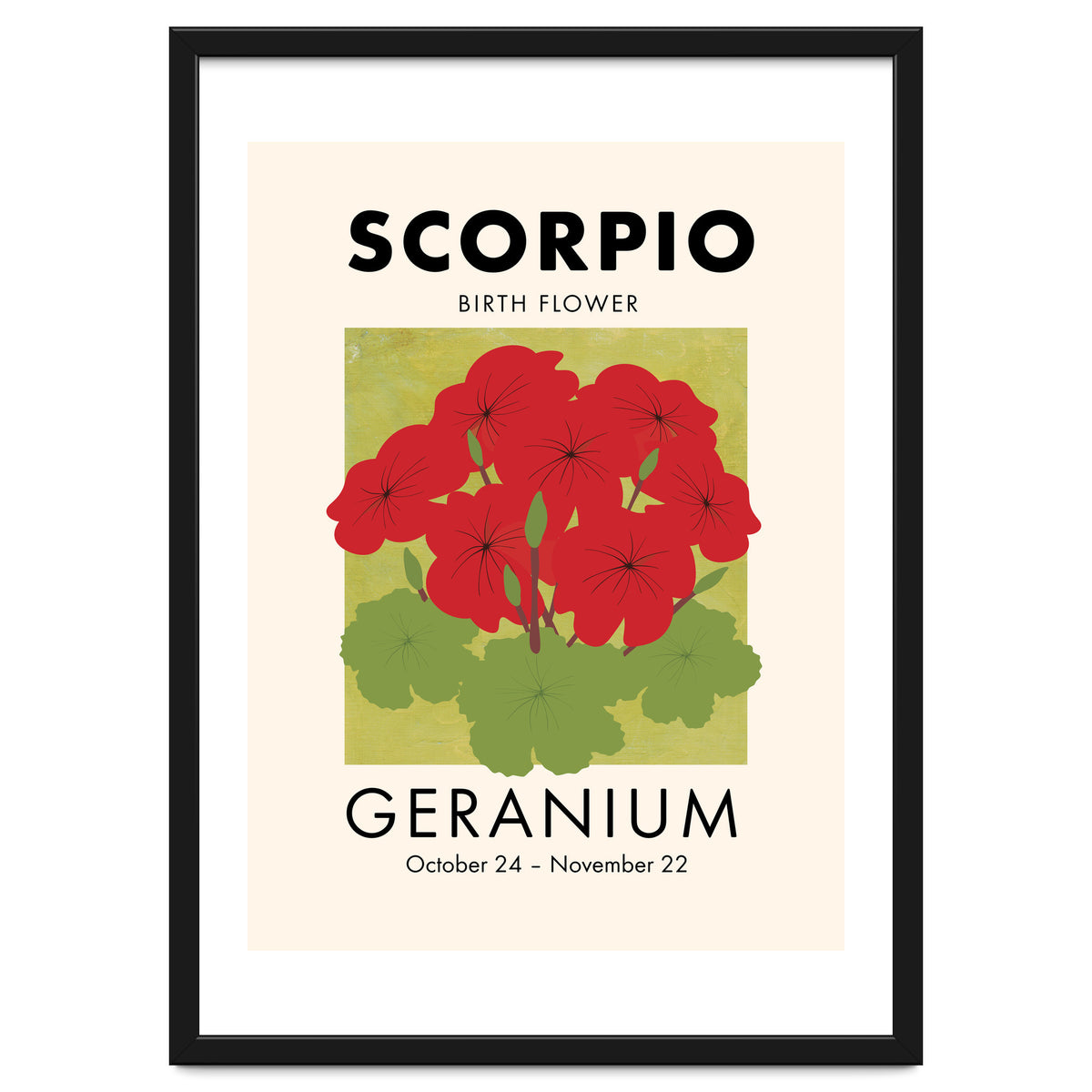 Scorpio Birth Flower Geranium