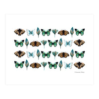 Spring Butterflies (Print Only)