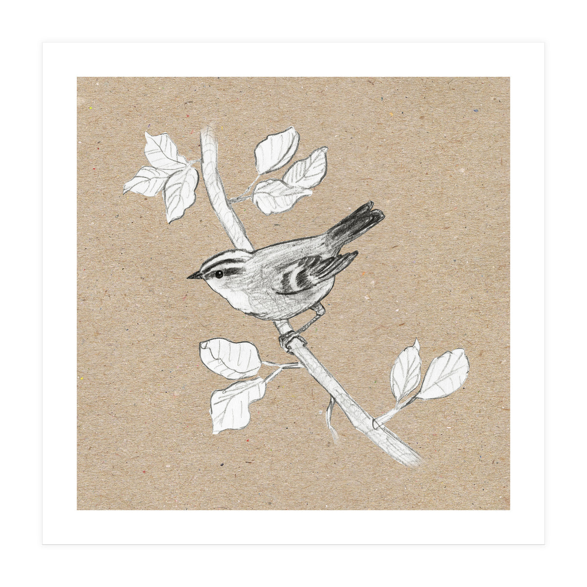 Gold crest (Print Only)