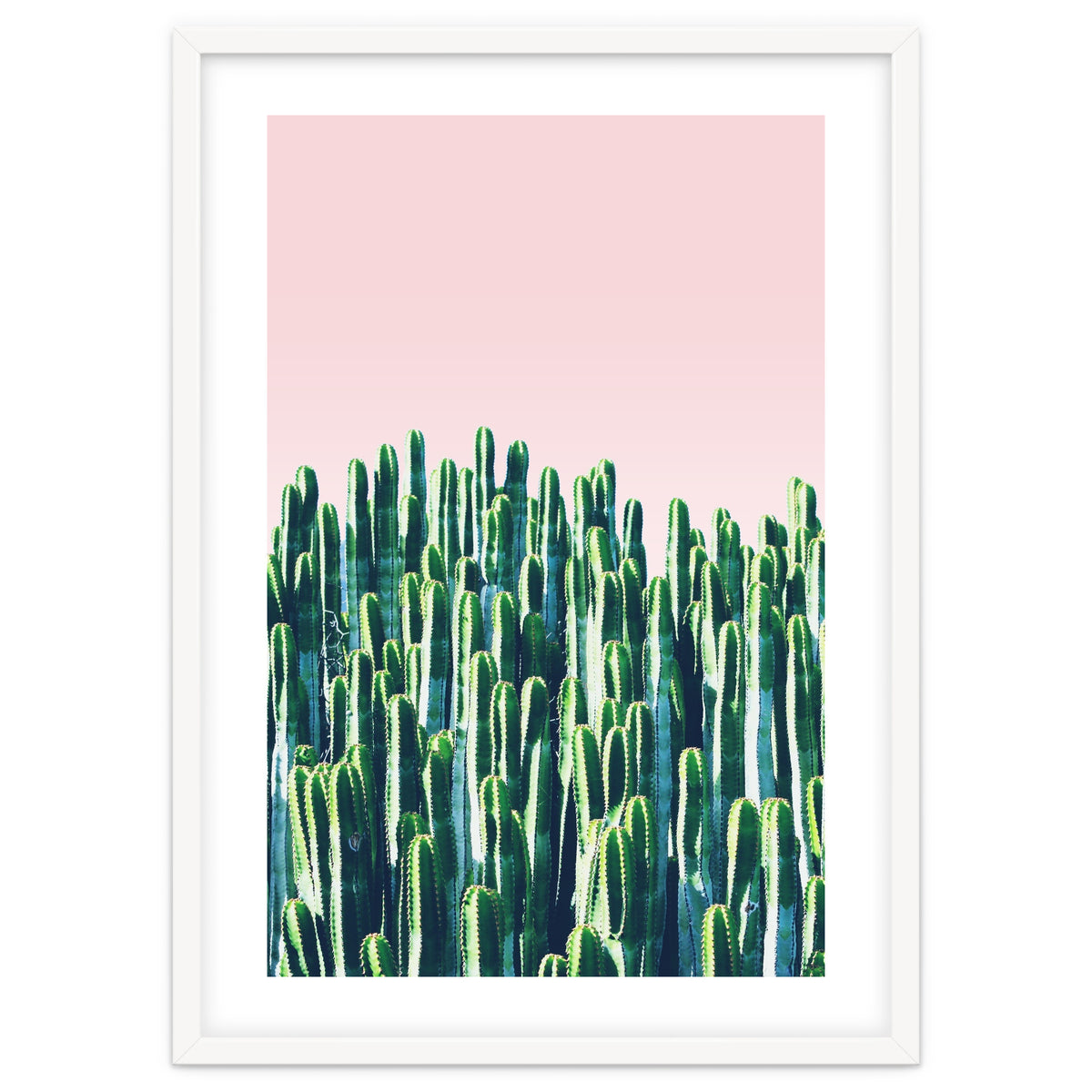 Cactus & Sunset II