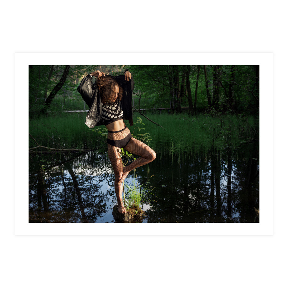 Swamp Swan (Print Only)