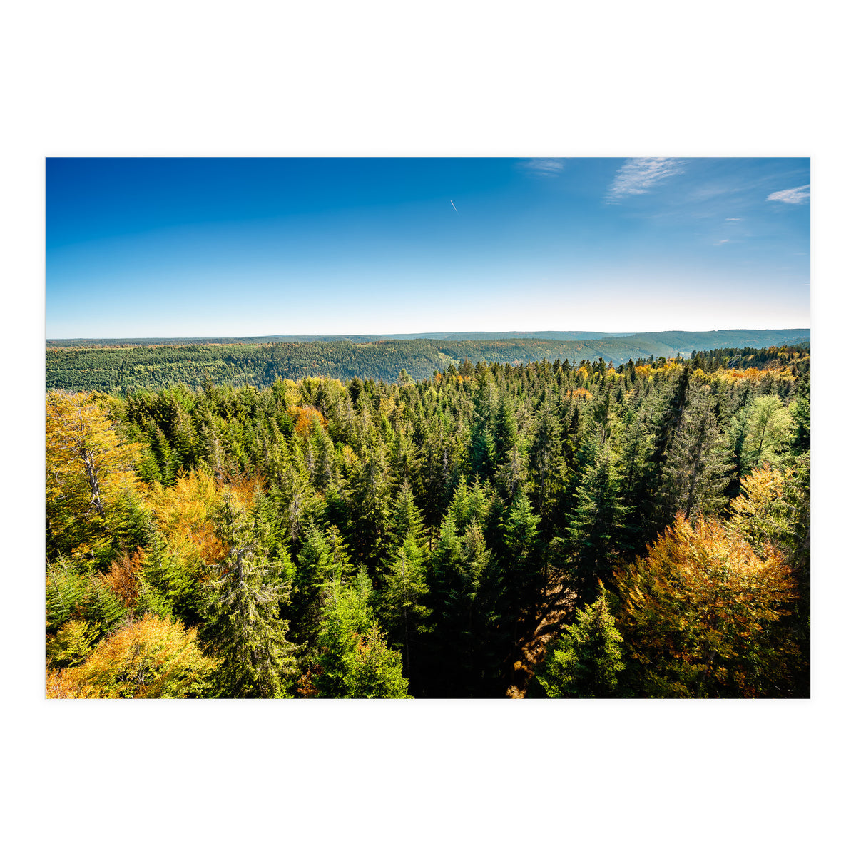 Black In Color (Print Only)