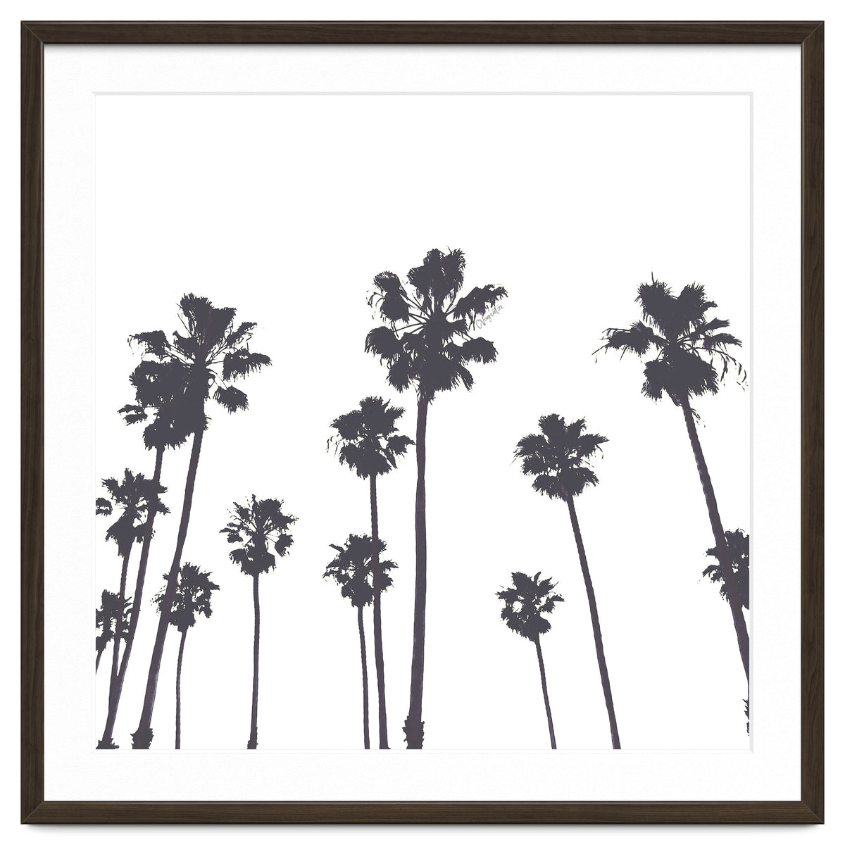 Palms & Sunset-Minimal B&W