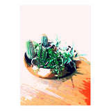 Cacti In A Copper Pot (Print Only) thumbnail