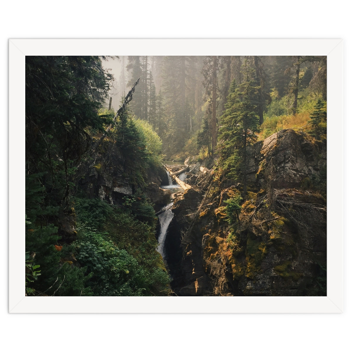 Glacier National Park I