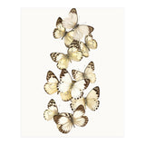 Cc Butterflies 01 (Print Only) thumbnail