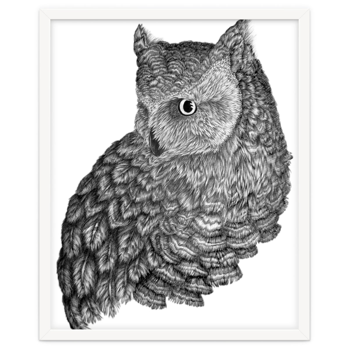 A Friend For Forsythe