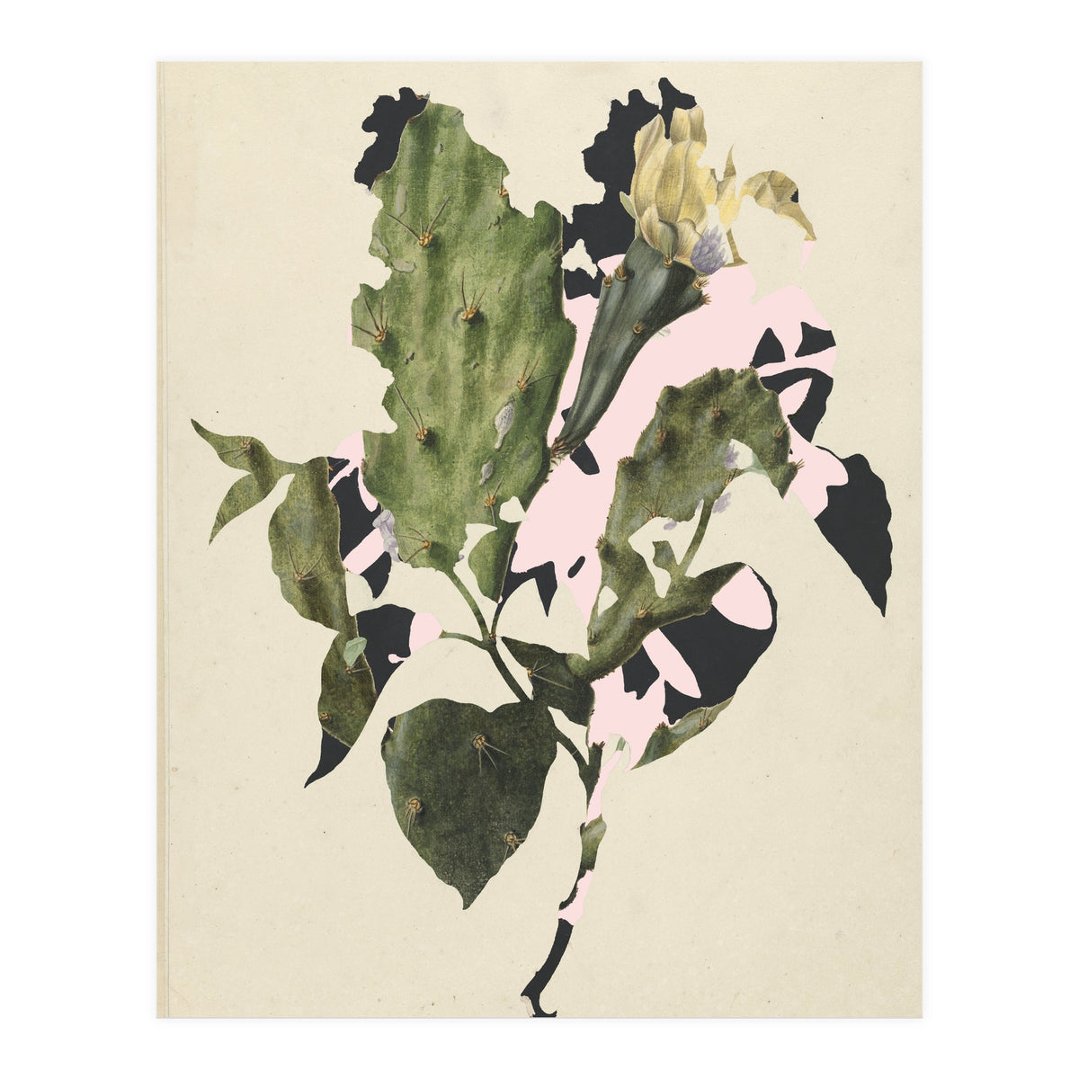 The First Plant · E3 (Print Only)