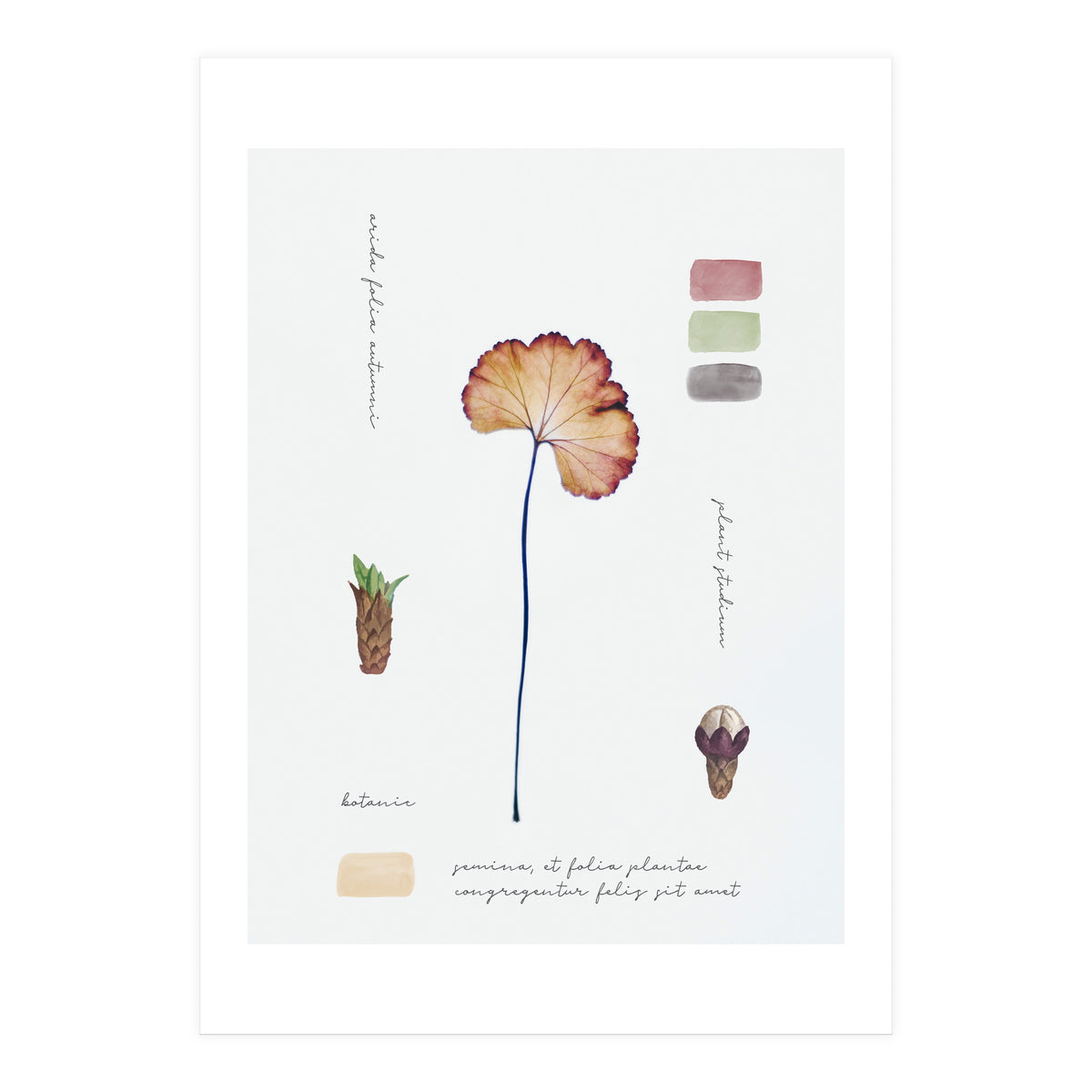 Botanical Notes (Print Only)