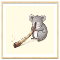 Koala Playing a Didgeridoo