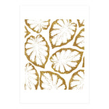 Monstera Gold (Print Only) thumbnail