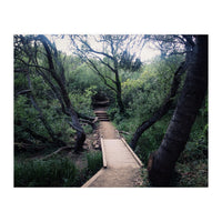 Glen Canyon Park (Print Only)