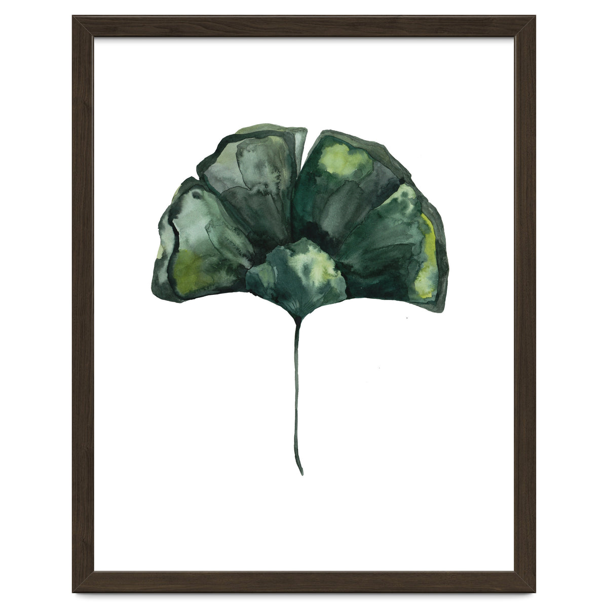 Botanical Illustration Ginko