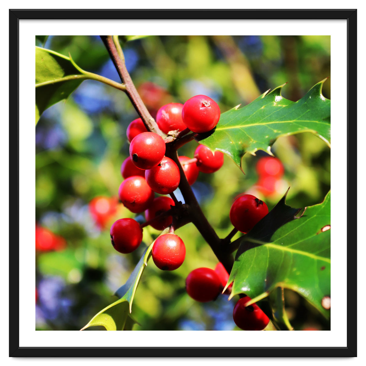 Fab454 Da 548 B 4252 8566 Cb9 Ccef07 Bda