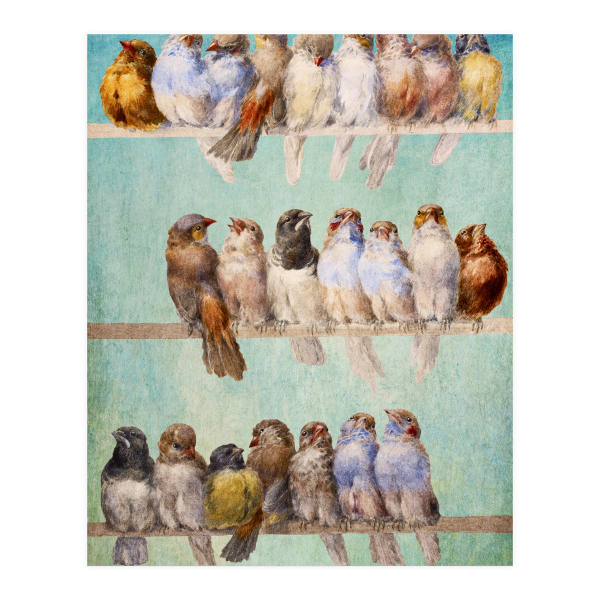 Birds Birds Birds (Print Only)