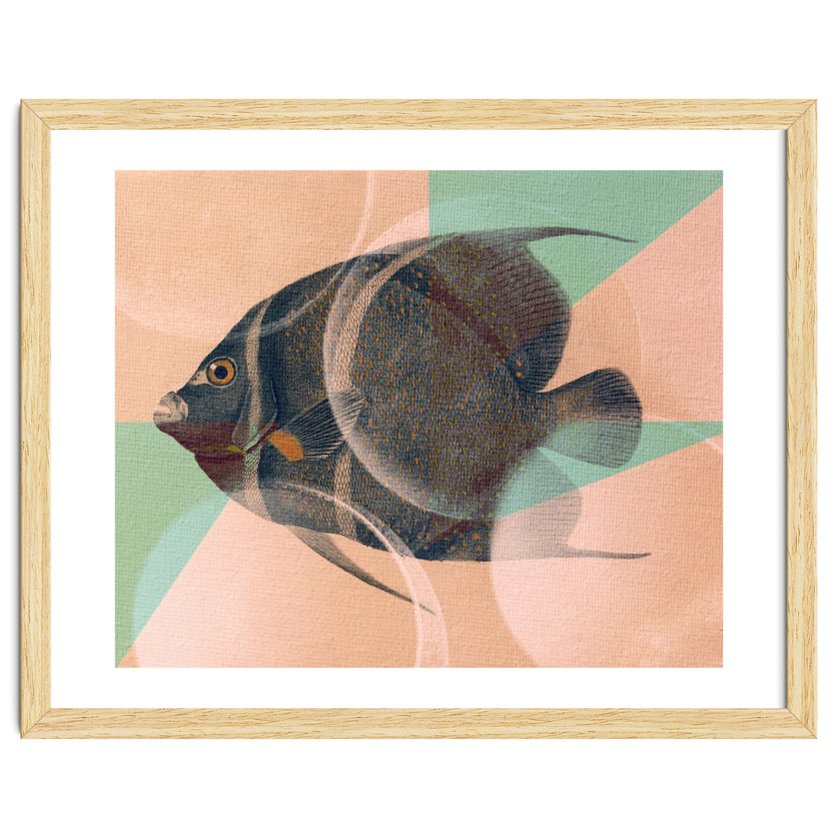 Fish Between Circles 2