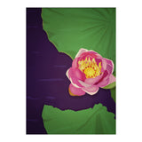 Water lily (Print Only) thumbnail
