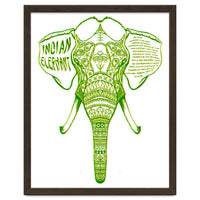Indian Elephant