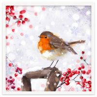Winter robin
