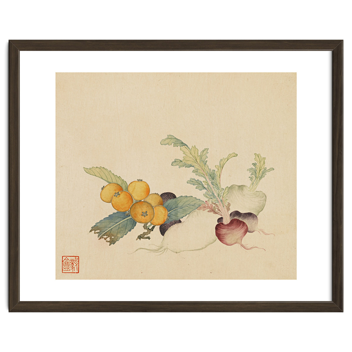 Wang Chengpi~flowers And Vegetables, Vegetables, Fruits, Loquat, White Radish, Carrot, Radish