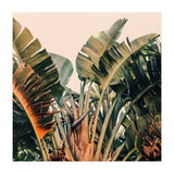 Hue (Print Only) thumbnail