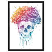 Colorful Skull