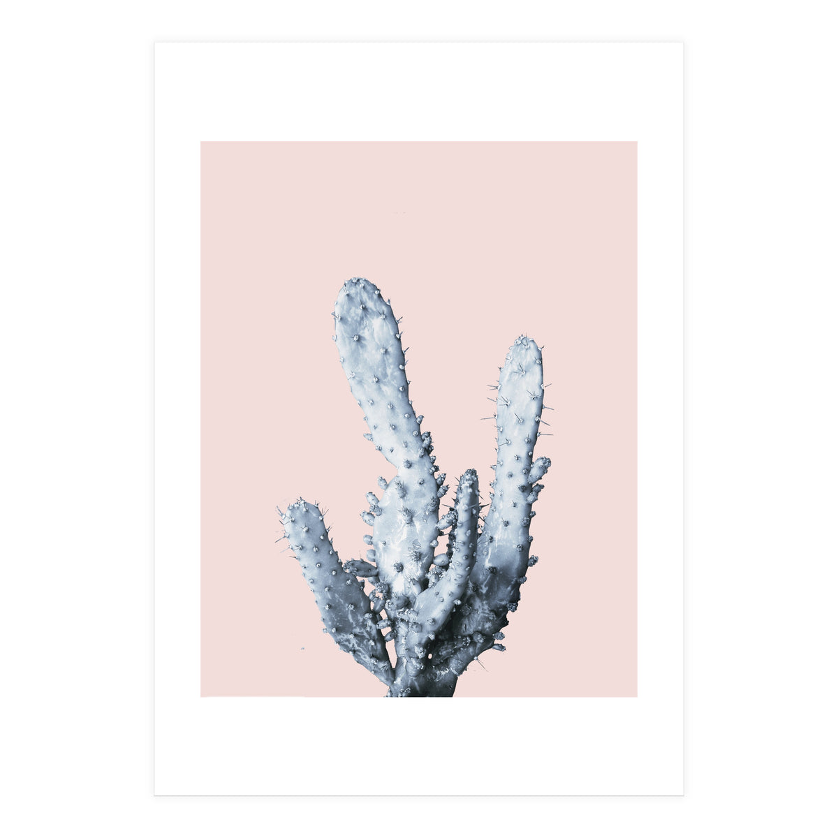 Cactus collection BL-I (Print Only)