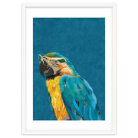 Macaw Portrait Blue Gold Glasses