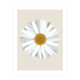 Daisy (Print Only) thumbnail
