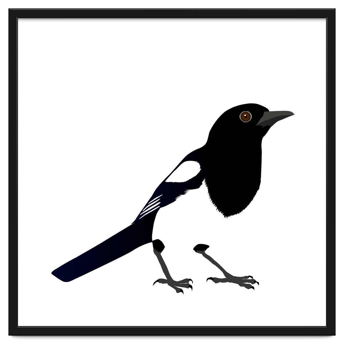 Magpie