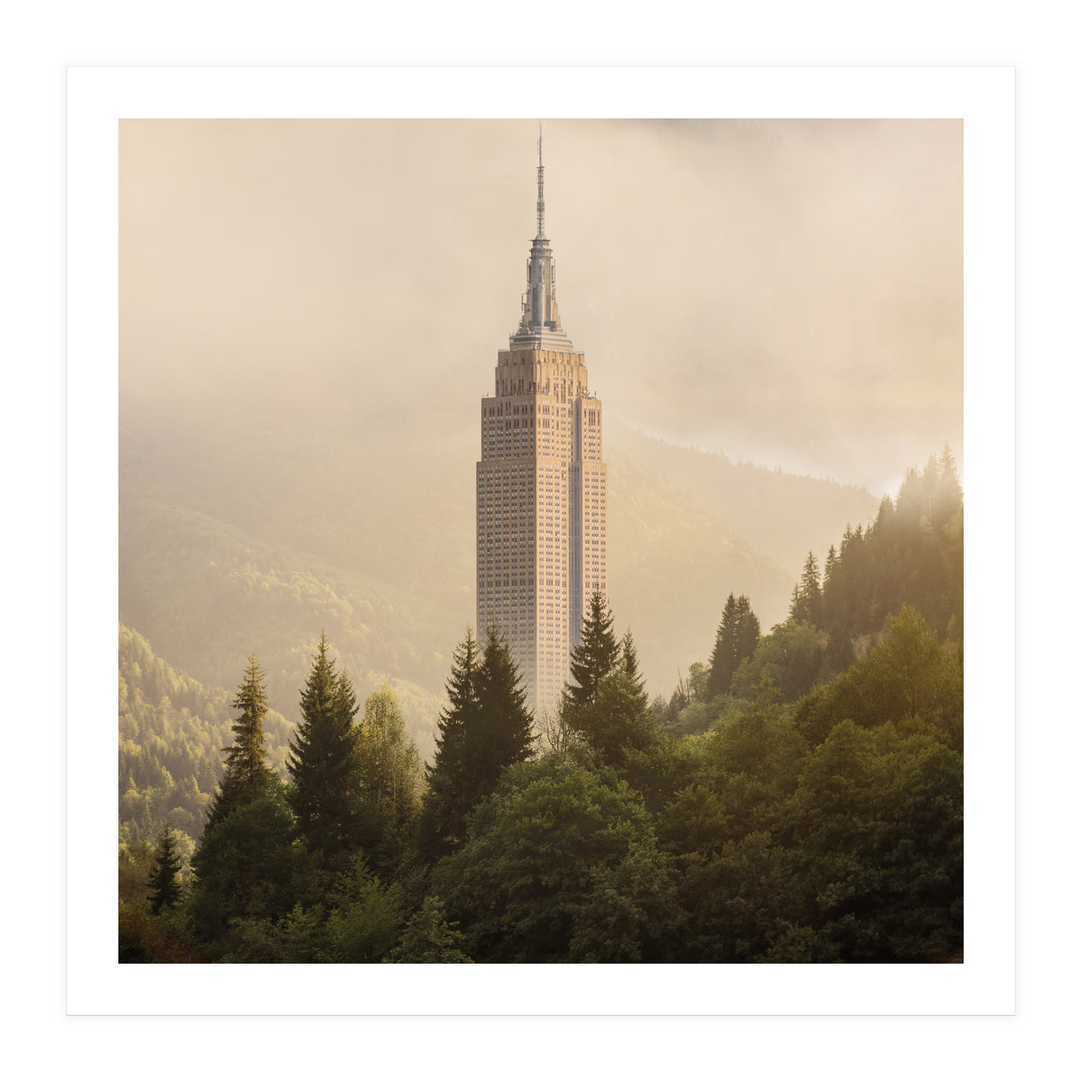 Forecity 4 (Print Only)