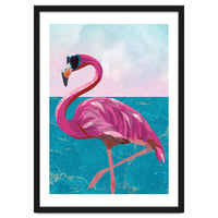 Flamingo on holiday