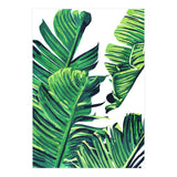 Banana Tree Leaves (Print Only) thumbnail