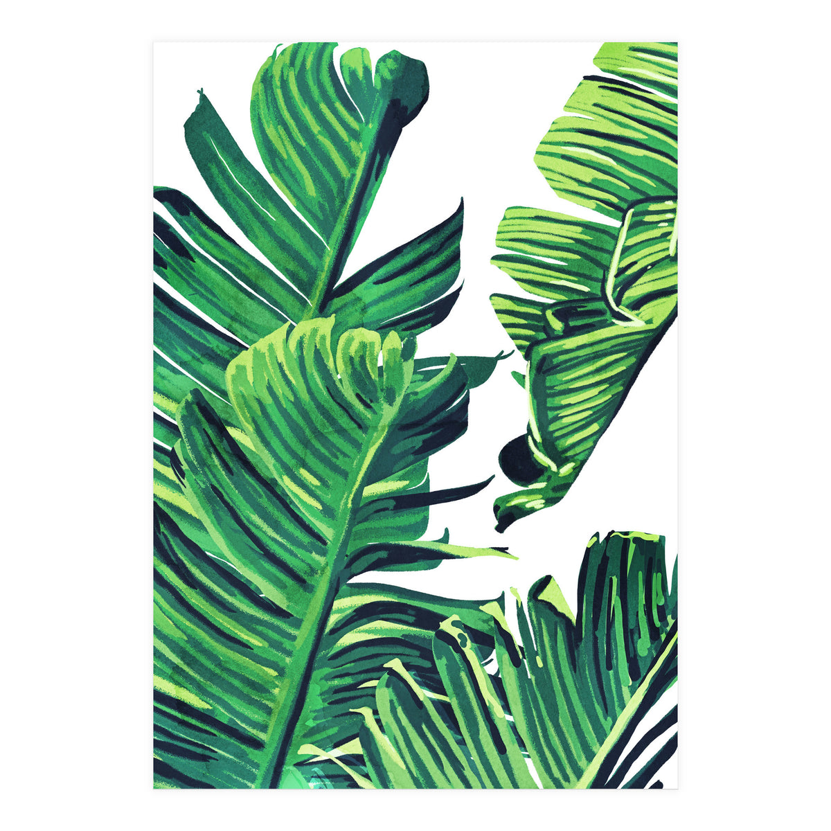 Banana Tree Leaves (Print Only)