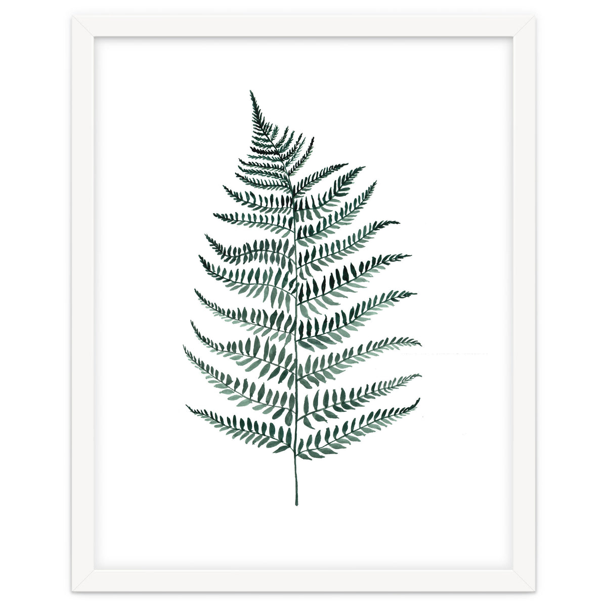 Botanical Illustration Silverfern