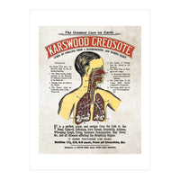 anatomy digestive system poster (Print Only)