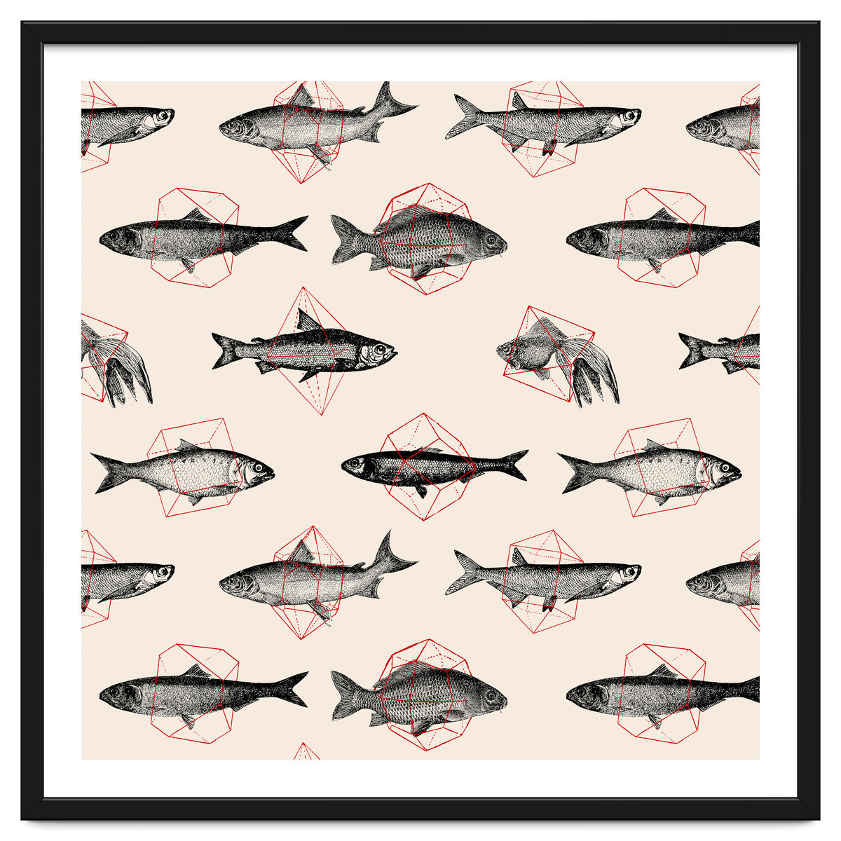 Fish In Geometrics
